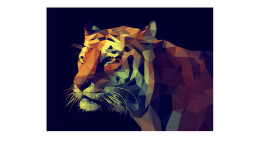 Leinwandbild Colourful Tiger 90 x 120 cm