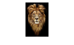 Alubild Lion Heads 50 x 100 cm