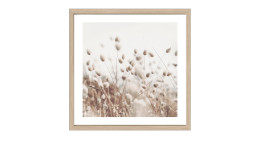 Rahmenbild Dried Fiber in the Wind 53 x 53 cm