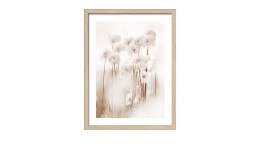 Rahmenbild Dried Fiber 33 x 43 cm