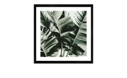 Rahmenbild Jungle Leaves 53 x 53 cm