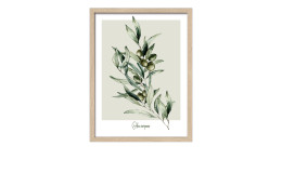 Rahmenbild Oliven 33 x 43 cm