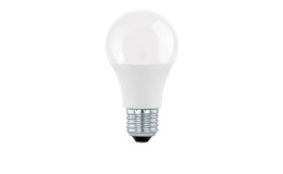LED-Leuchtmittel 110175 E27