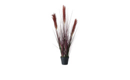 Deko-Borstenhirse 78cm 