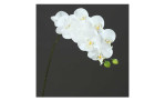 Orchidee-Phalaenopsis 80 cm aus Kunststoff mit einem grünen Stiel und weißen Blüten. Auf einem grauen Hintergrund.