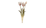 Tulpen-Bund 46 cm aus Kunststoff mit Hellbraunen Blüten und grünen Stiel und Blätter.