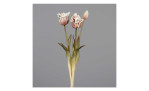 Tulpen-Bund 46 cm aus Kunststoff mit Hellbraunen Blüten und grünen Stiel und Blätter. Auf einem grauen Hintergrund.