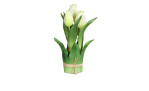 Tulpenarrangement  20 cm aus Kunststoff und Polyurethan mit weiß / grünen Blüten und grünen Stiel und Blätter.