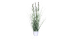 Gras 70 cm aus Kunststoff in grün mit Applikationen.