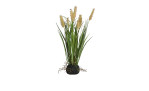 Gras m. Fruchtstand 40 cm in grün