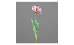 Tulpe 64cm in pink, mit einem grauen Hintergrund