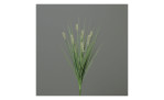 Gras mit Fruchtstand 50 cm