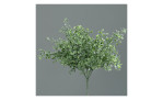 Gingko-Busch 25 cm