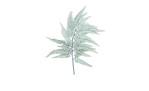 Farnzweig 100 cm