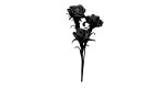 Rose 100 cm