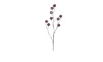 Kugeldistel-Zweig 82 cm