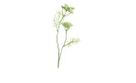 Dill 56 cm aus Kunststoff in grün mit weißen Applikationen.