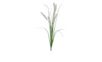 Gras 76 cm aus Kunststoff in grün mit weißen Applikationen.