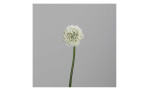 Allium 86 cm aus Kunststoff in weiß mit grünen Stiel. Auf einem grauen Hintergrund.