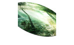 Alubild Forest Harmony 100 cm