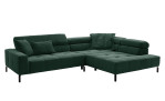 LASCONDO Callisto