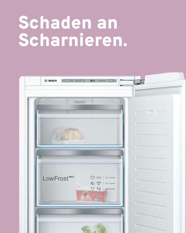 Schanier Schäden
